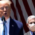 Trump suggests he might fire Fauci after election