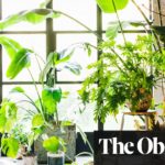 Are your houseplants environmentally friendly? | James Wong