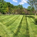 Brentwood Lawn Maintenance