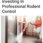 Rodent Remediation Irvine